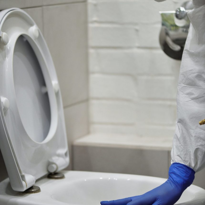 cleaning_professionals